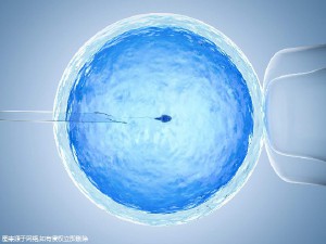 代生选性别包生男孩